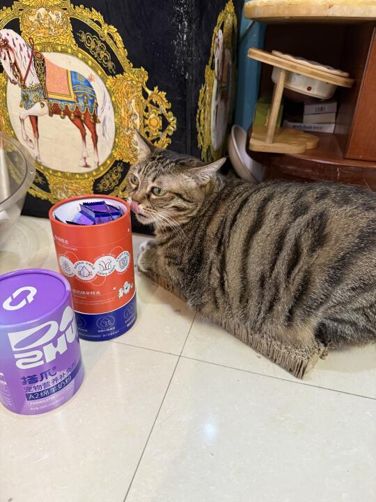 谁家孩子一把年纪了还在吃奶粉呀！ 😼