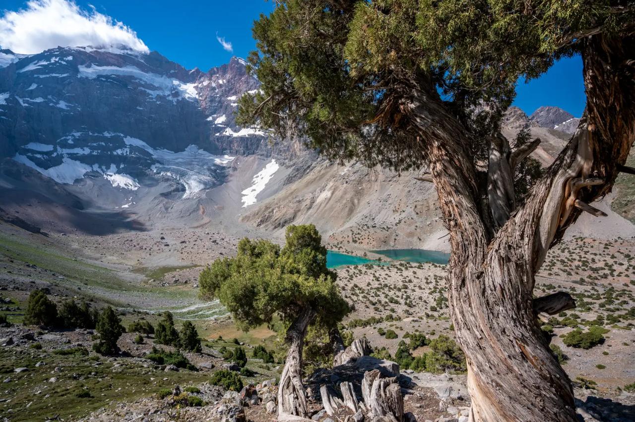 刚才检察官来电，明确告知检察长已经批示督办本案。我表示了感谢，并表示 : 鉴于有