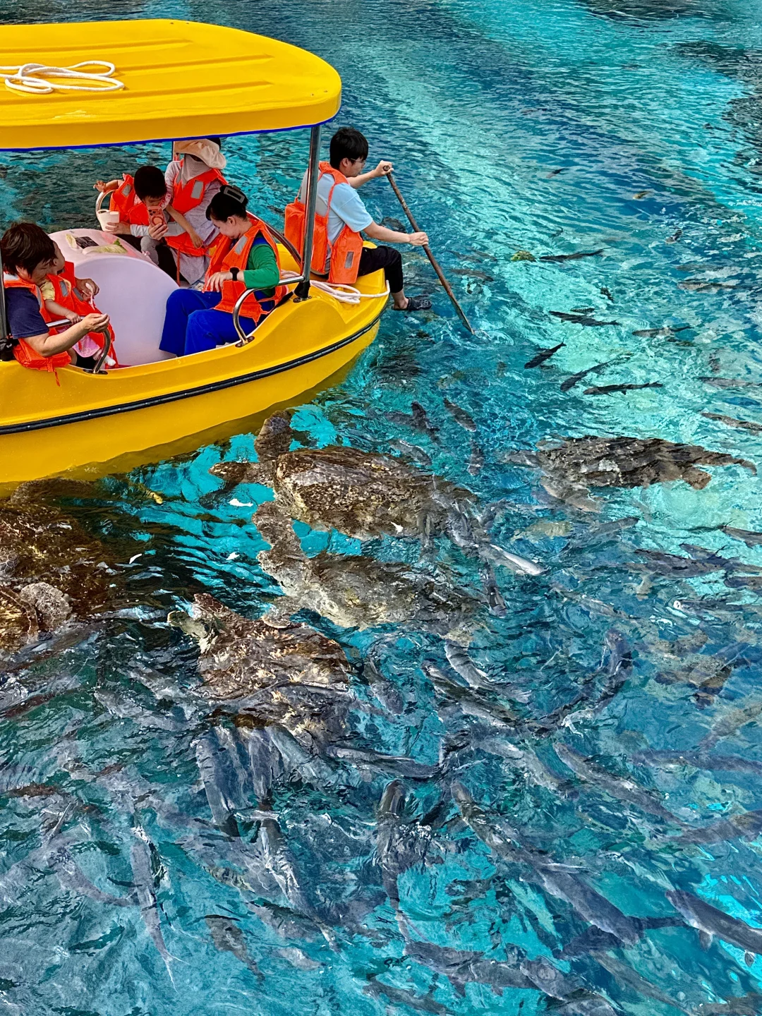 带娃三刷陵水，真的比迪士尼还震撼！