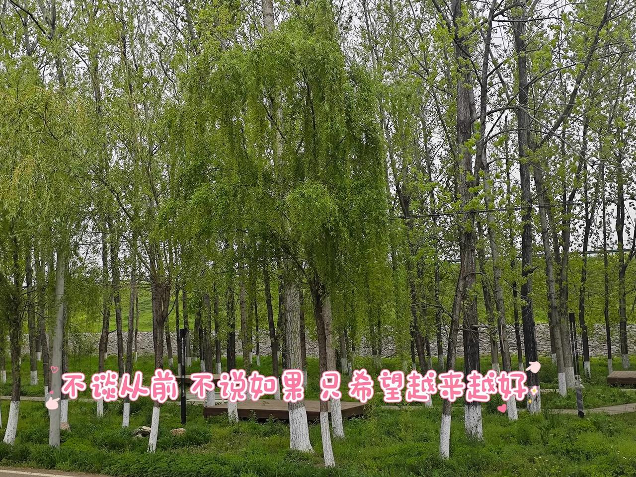 不谈从前，不说如果，只希望越来越好。