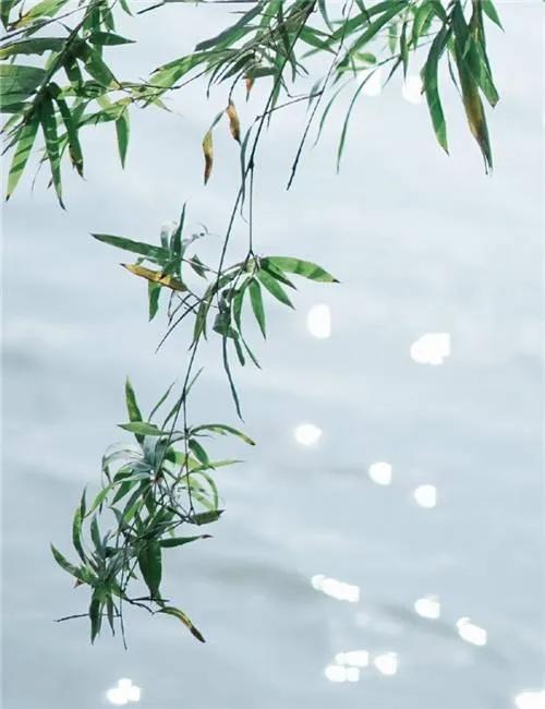 俗话说，
立秋过后，
一场秋雨一场寒，
现今立秋已过20天，
10几次秋雨频繁淋