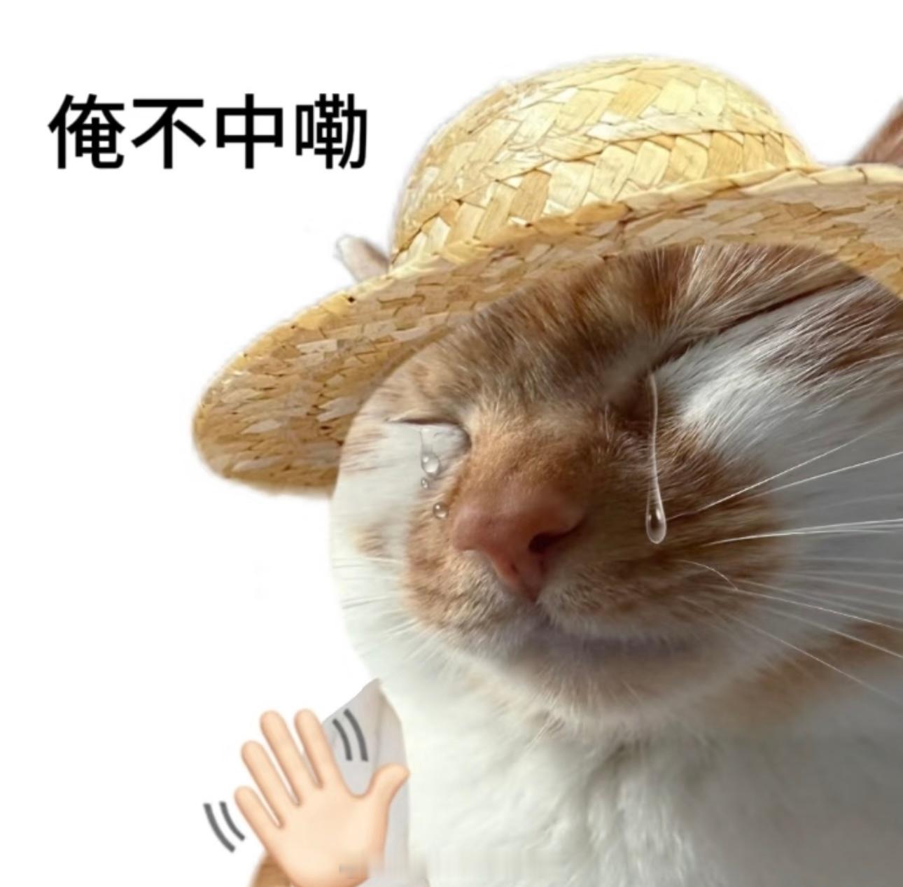 脱口秀演员吵架也有职业病脱口秀演员长期站在舞台的习惯很难改掉吧，吵架时有围观人群