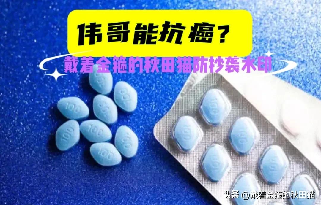 “伟哥”能抗癌？本是用于研发治疗心血管的药，却被意外发现“挽救小弟弟”的作用，如