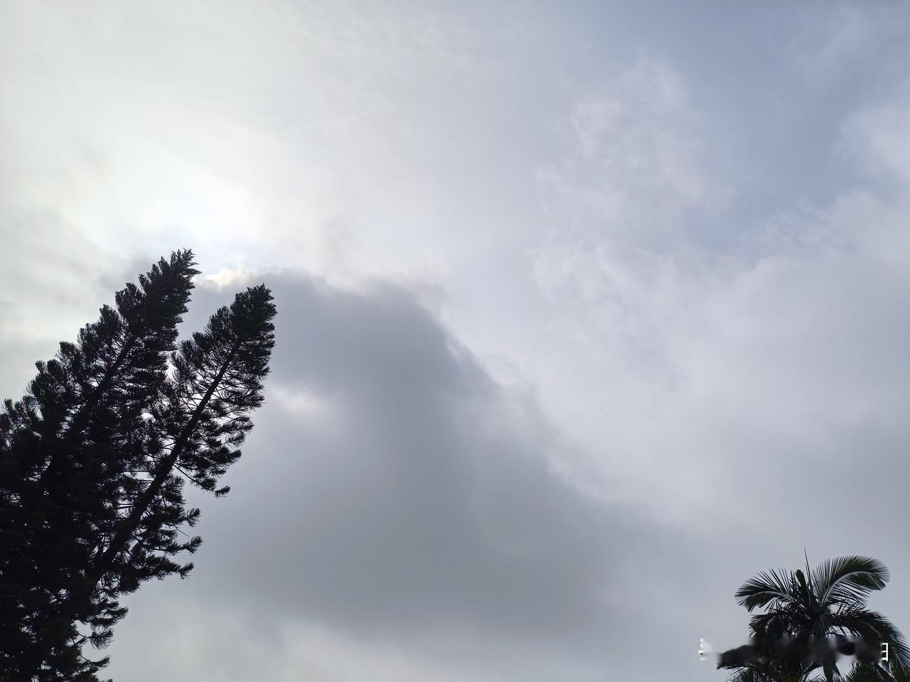 广东暴雨预警！未来一周强降雨来袭！

今明（13～14日），广东有一次大雨到暴雨