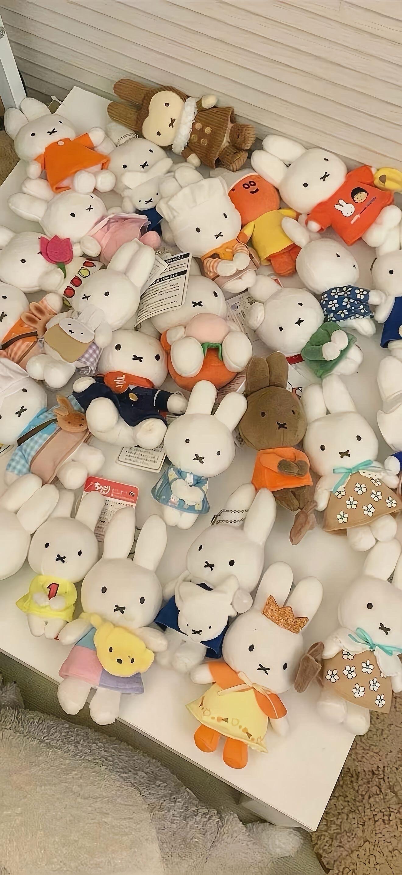 今天是奶呼呼的米菲兔🐰|||手机壁纸｜高清壁纸 