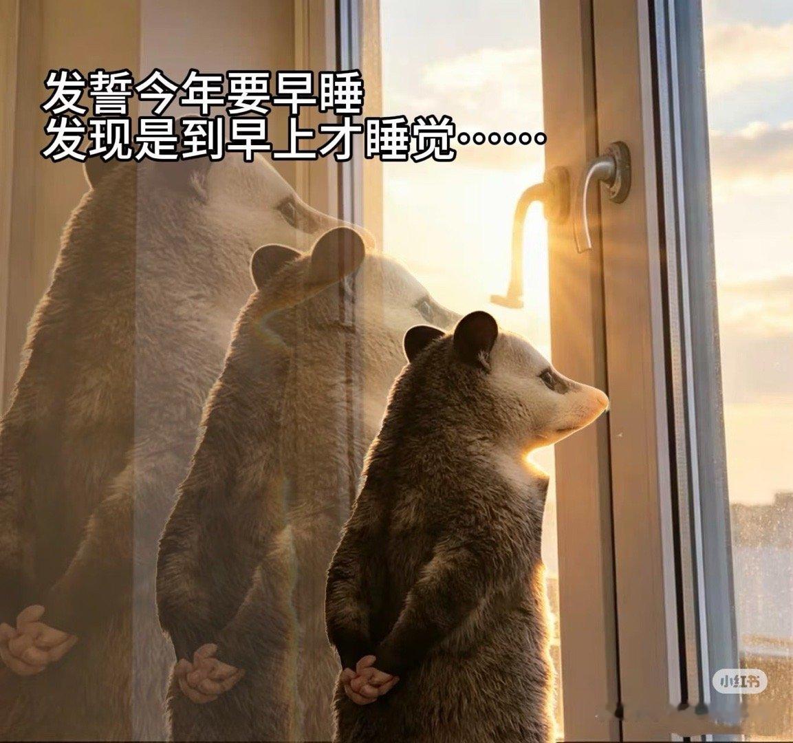 九点钟就放弃了电脑滚上了床，还吞了一颗鱼油，努力培植睡意，失败………鱼油白吃了