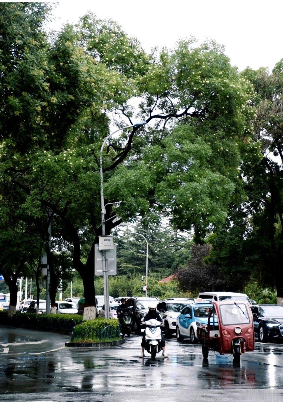 “兰州的雨是黄河写给城市的诗” 