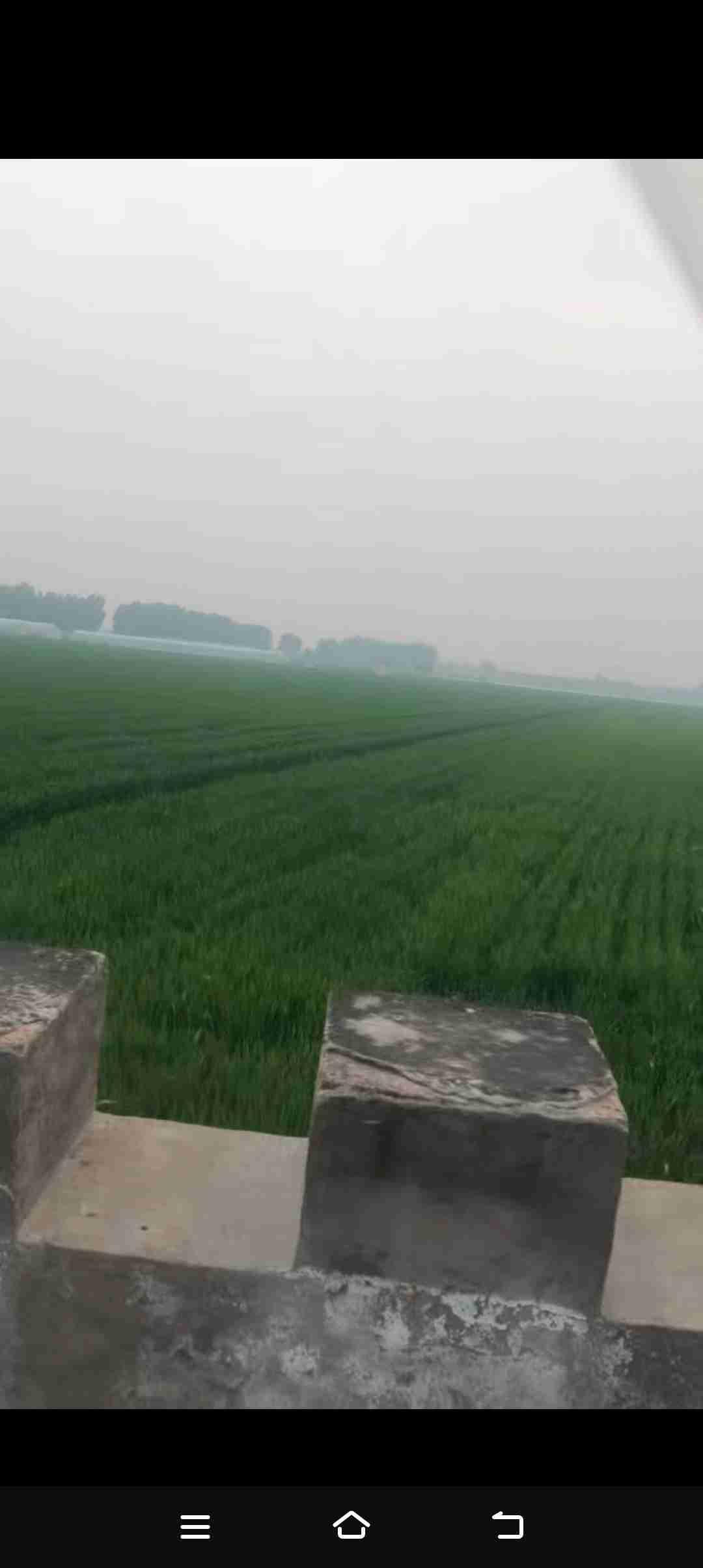 我的今日状态：🏃‍➡️运动
我这里的天气：🌧下雨
