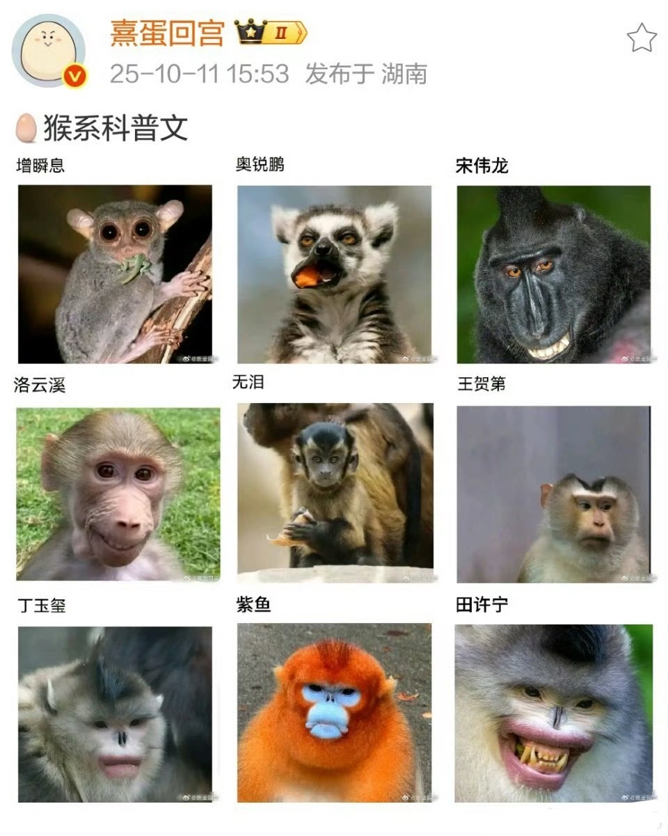 敖瑞鹏这个好像啊，歪嘴战神[泪奔] ​​​