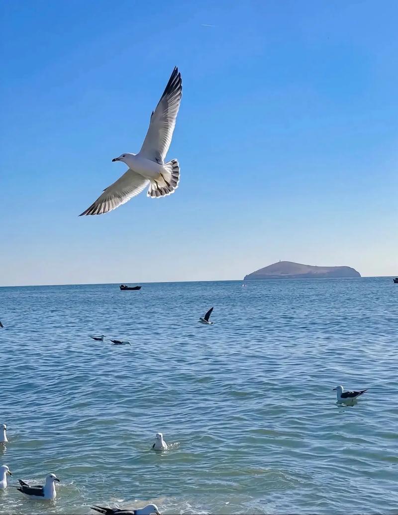 你或许经历过这样的时刻：加班到深夜，抬头看见办公室的灯光冷冷清清，心里问自己“这