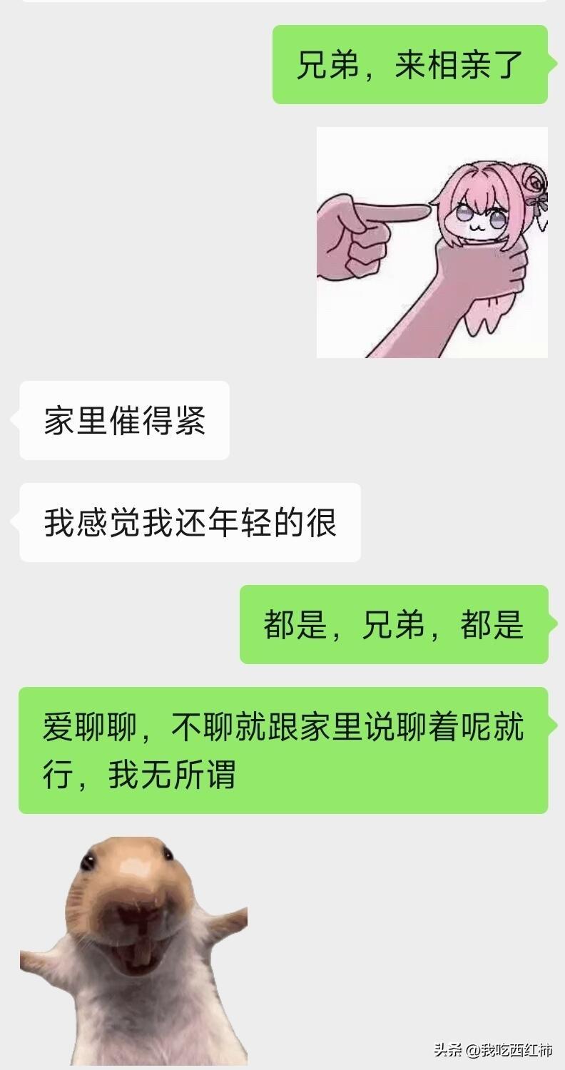 社恐抽象人努力装成乖乖女相了几个都不了了之了，家里催得又紧，实在装不下去就直接爆