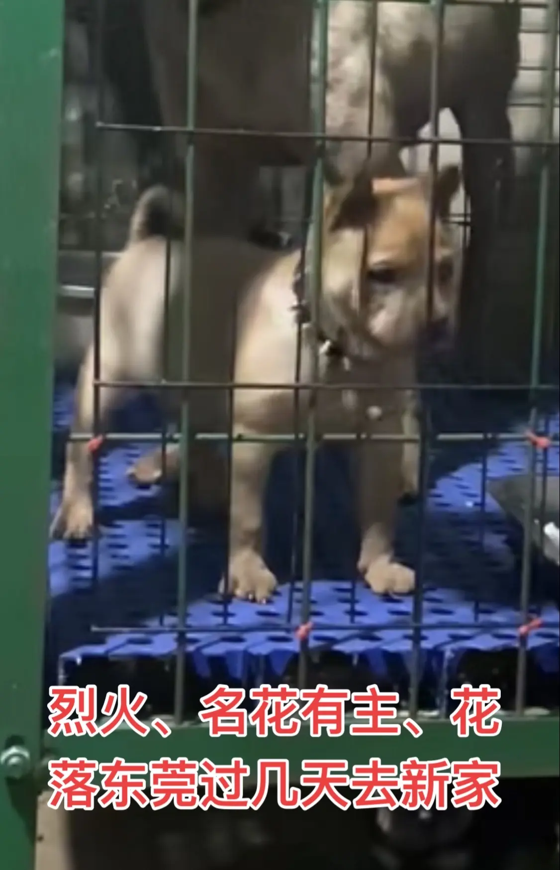 最终还是把你割爱了
