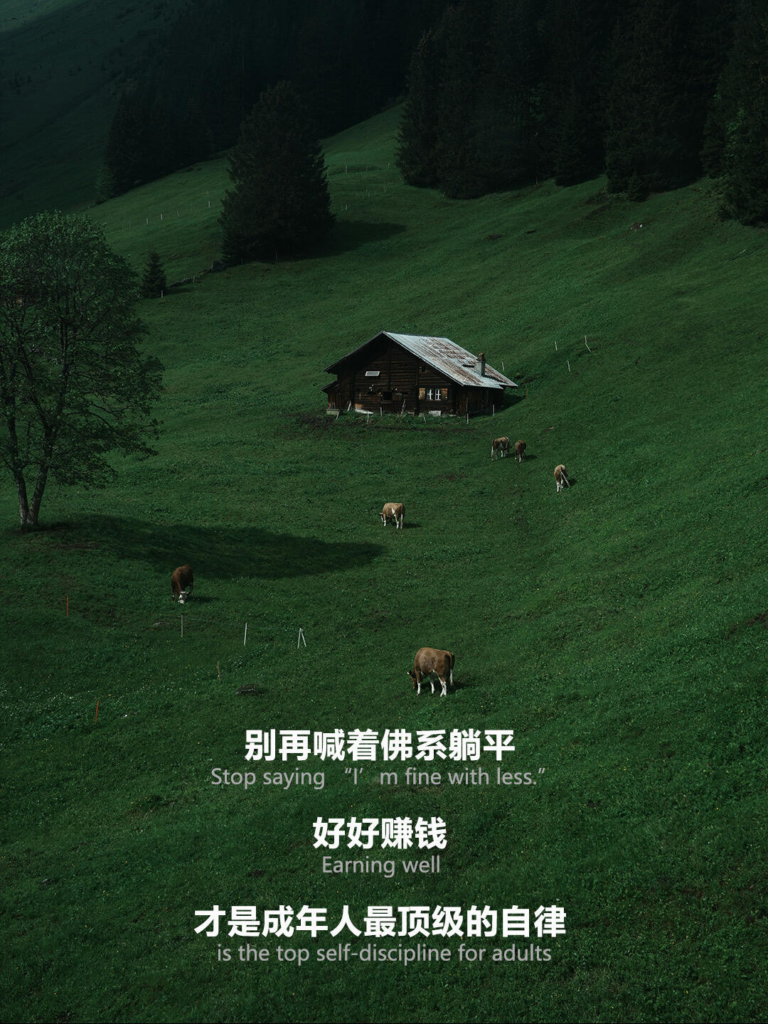 我已经到了一切都需要用钱的年纪愿我们都能有钱，也有底气 