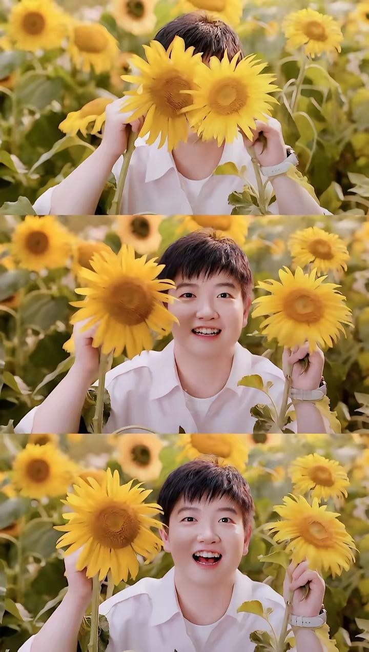 太阳花
太阳花
大名就叫孙颖莎
追太阳
自发光
照得人心暖洋洋
燕赵情
家国意