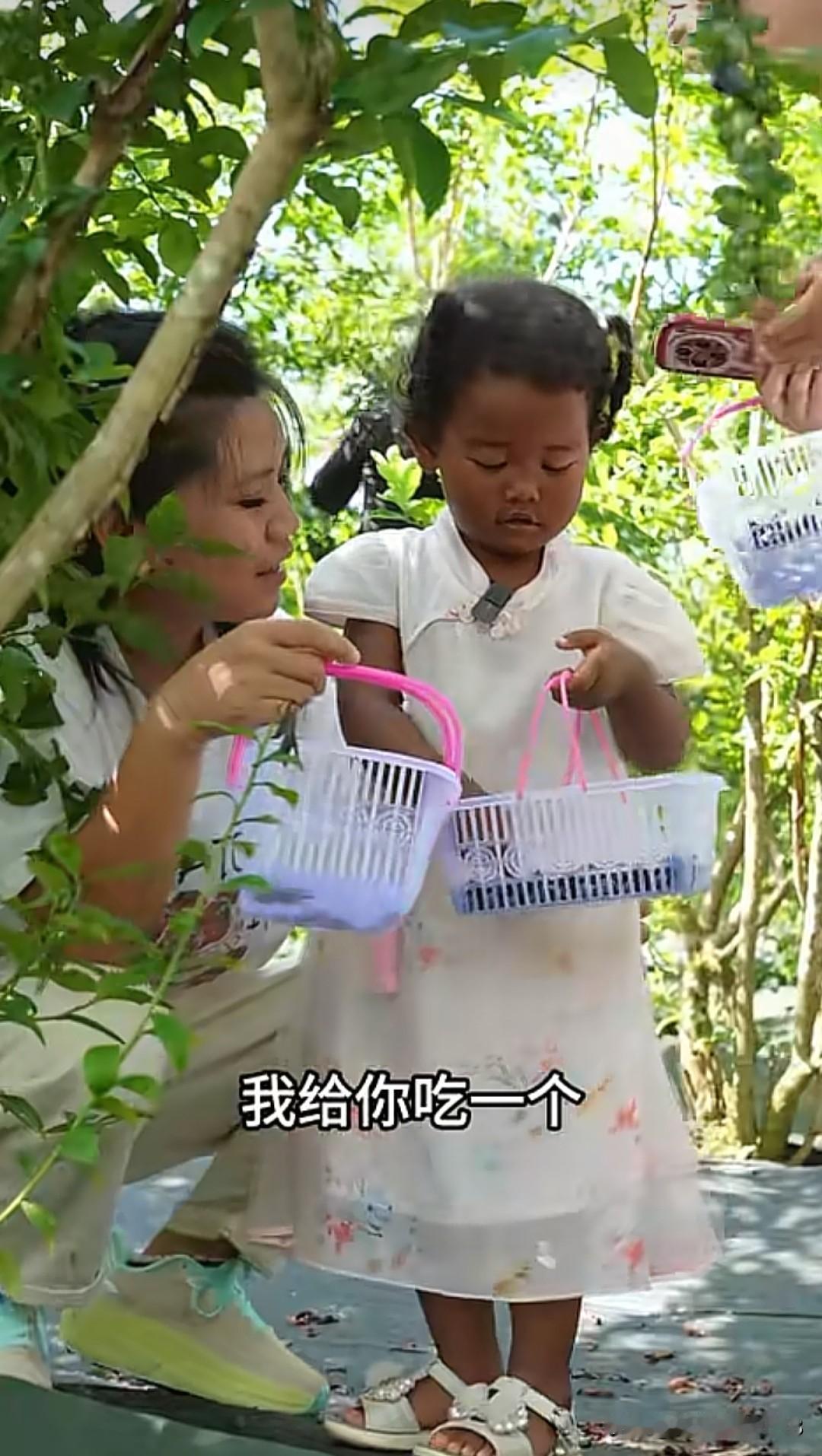 rose今天带着女儿和姐妹们一起上山摘蓝莓，这里的风景好美，蓝莓又大又甜，真是丰