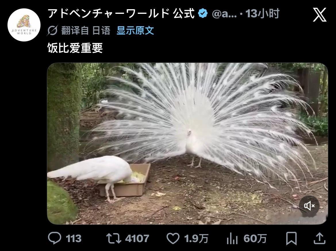 莪面对别人求爱：