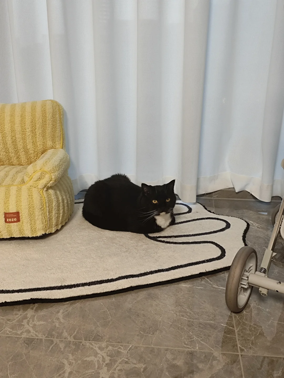 建议立刻加入猫meme