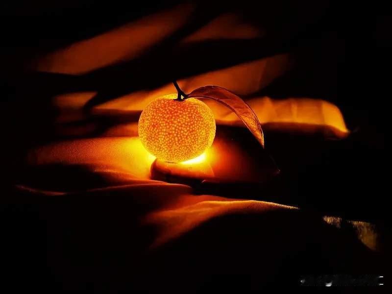 网红“橙子姐姐”真在柬埔寨被抓了。11月她去柬埔寨西哈努克港看男友，原计划13日