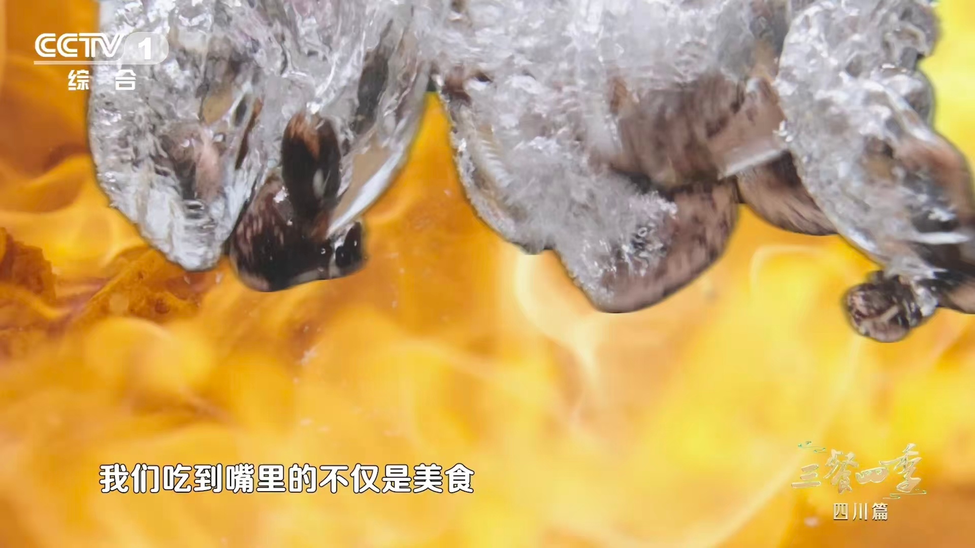 内娱美食综艺有自己的熹妃回宫 强势登顶！《三餐四季》第三季首播即爆，拿下12月综