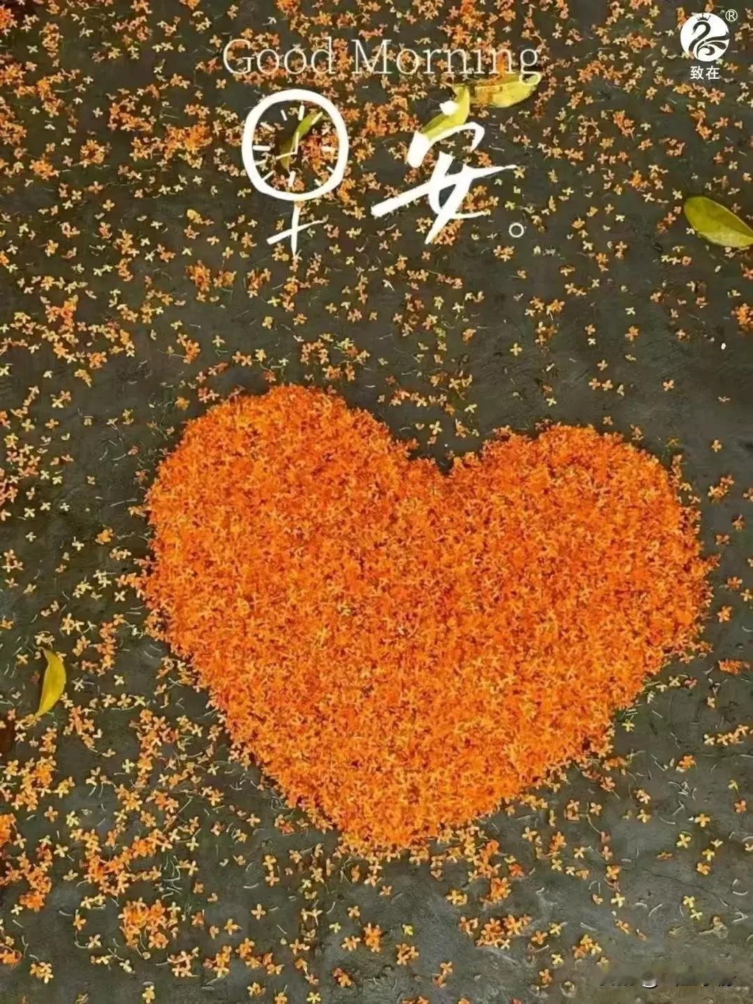 人生最好的一天  永远是今天
最好的一刻  永远是此时此刻
日月既往  不可复追