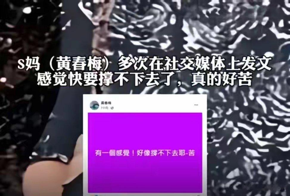 3月13日，台媒称S妈多次在情绪失控下发文，小S不知道妈妈因思念大S失眠被网友吐
