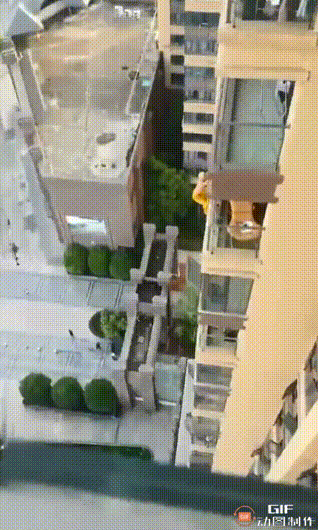 腿抖得厉害，他不是不想上来，确实是真的上不来——据说，下去的时候姿式很优美，声音