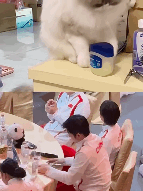 樊振东，有一些小猫行为
这三点毋庸置疑

1、大湾区晚会上在桌角扒拉手机，不断试