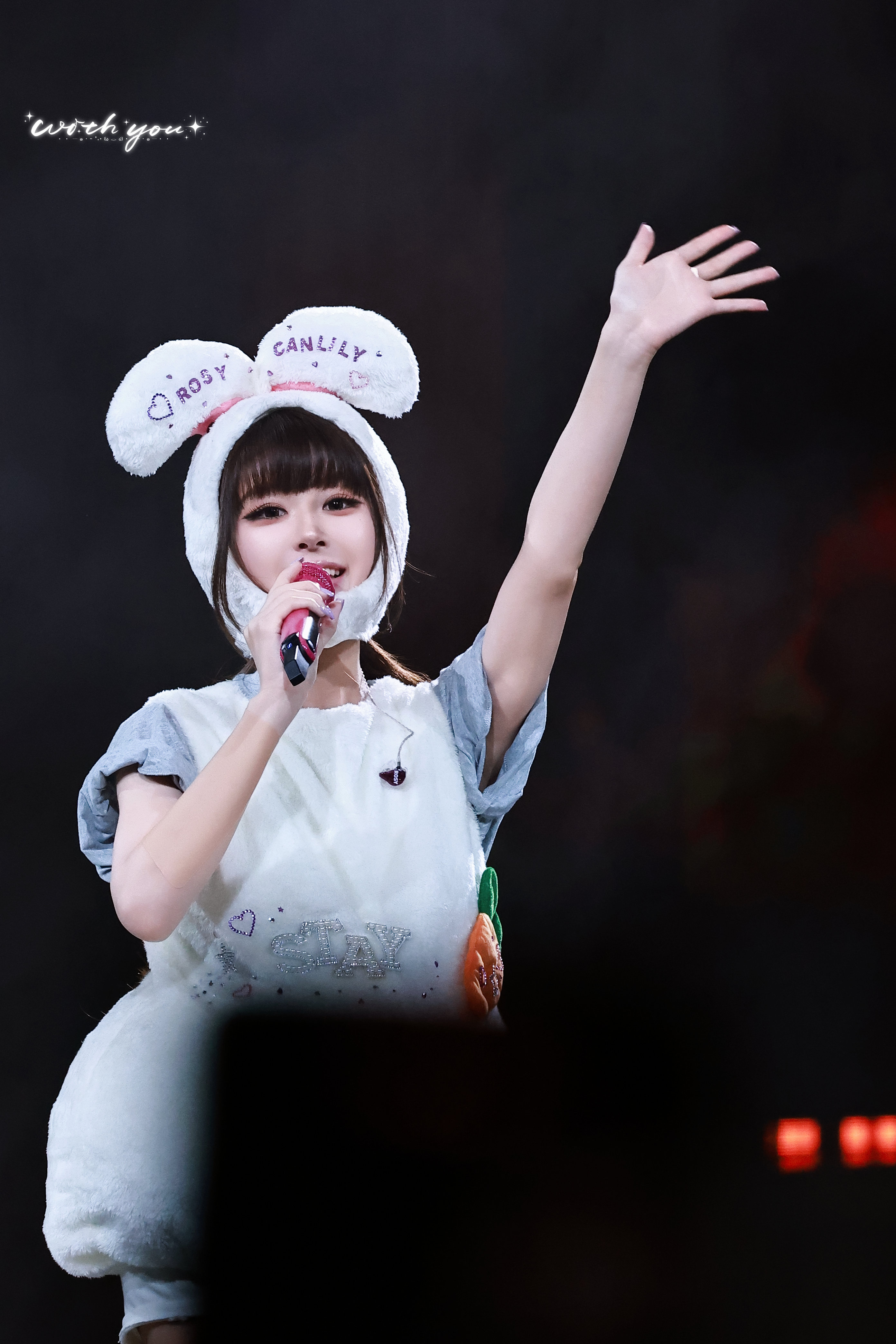 萌🐰 