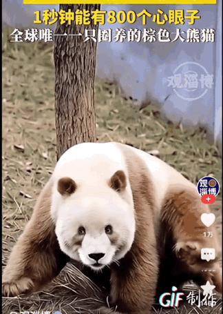 假若有一天，突发停电事故，现在的医院还能维持正常的看病吗？