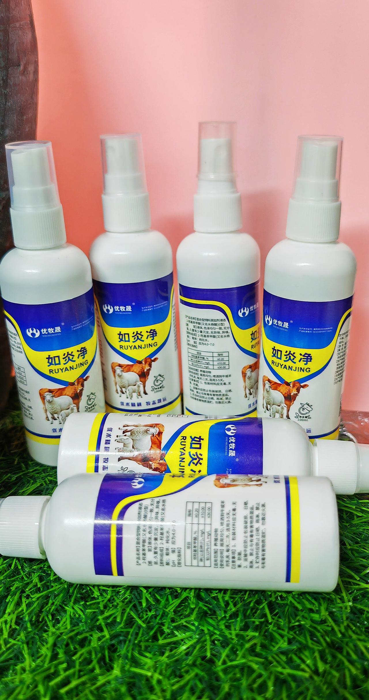 养羊人 牛羊养殖 农村养羊