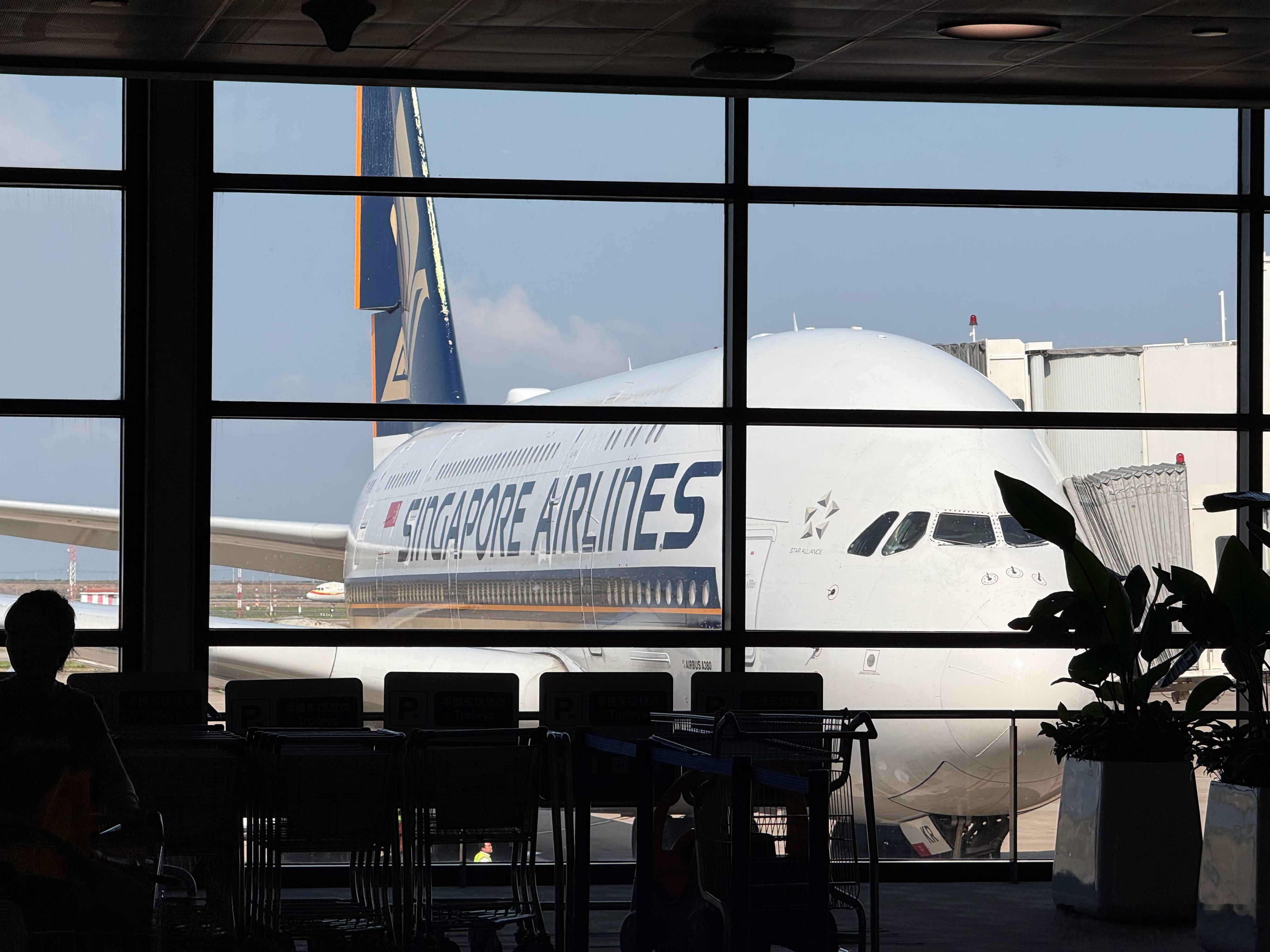 新加坡航空的A380，国内已经没有这个机型了。 