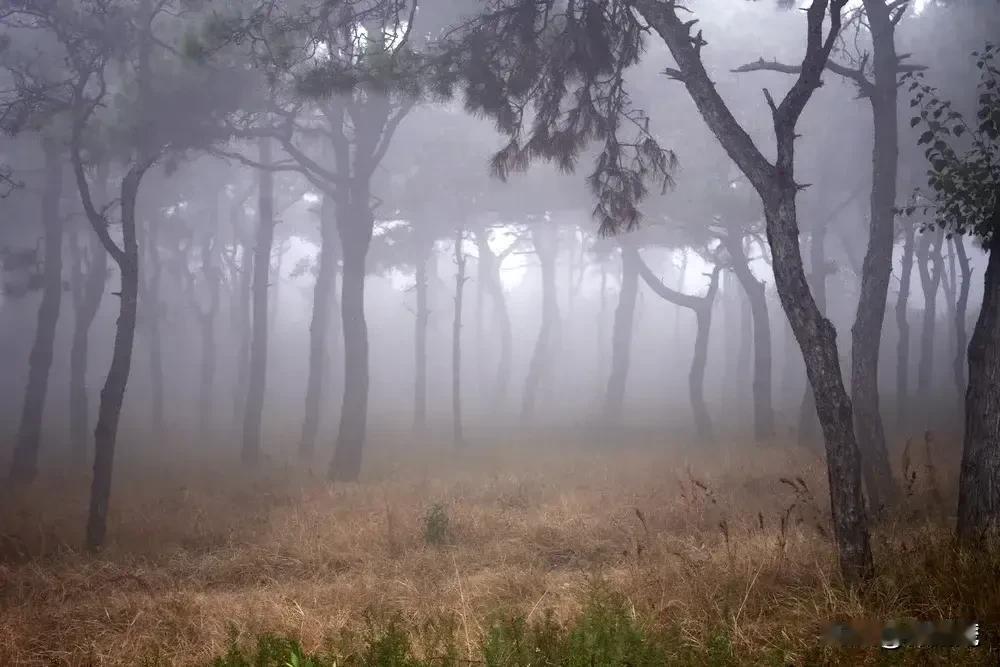 晒晒你的原创摄影作品