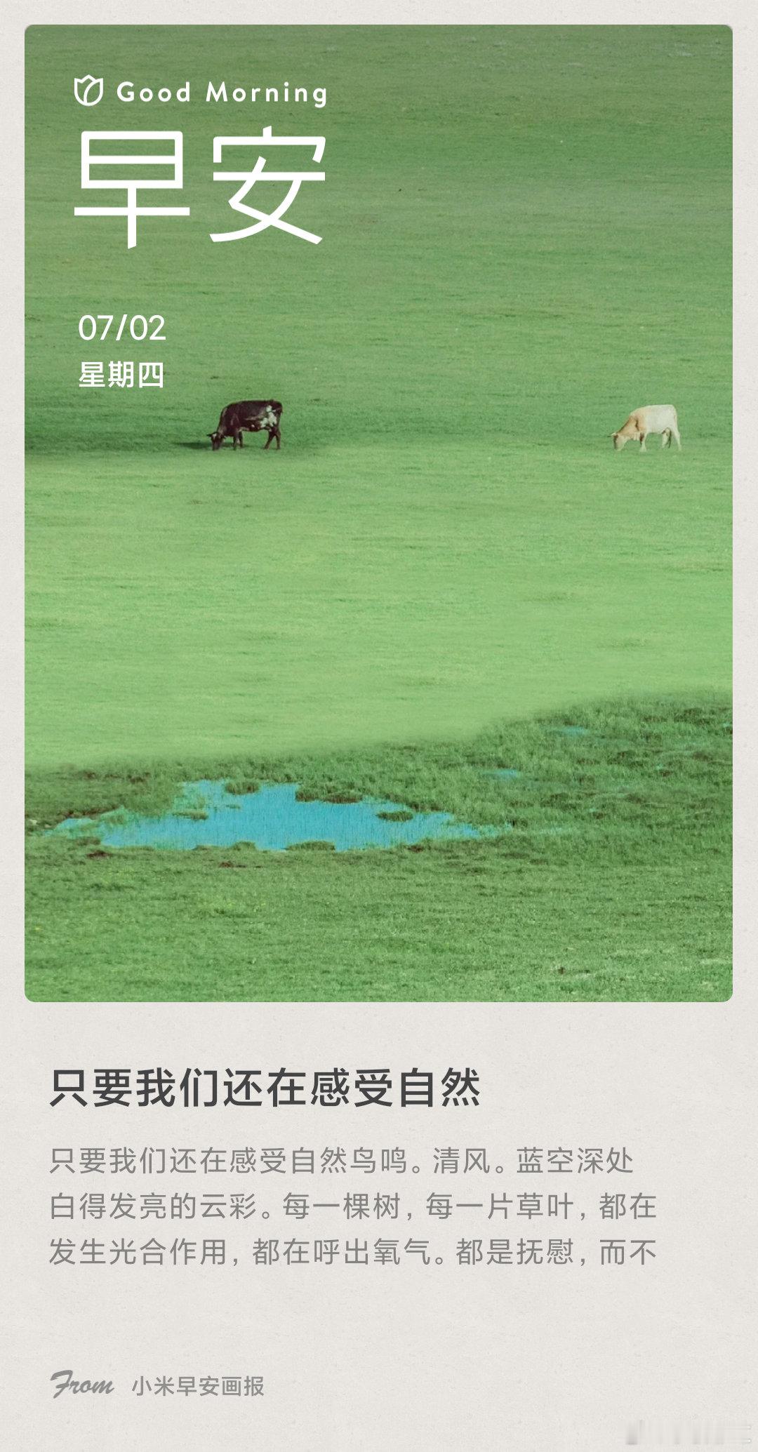 小米画报 只要我们还在感受自然： 只要我们还在感受自然鸟鸣。清风。蓝空深处白得发