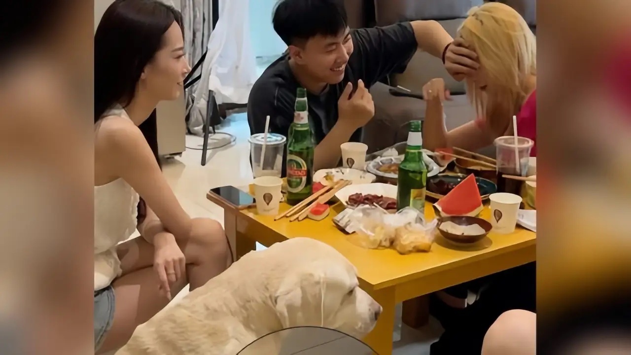 这哥们输的一点也不冤，谁能想到狗狗竟然事内鬼 