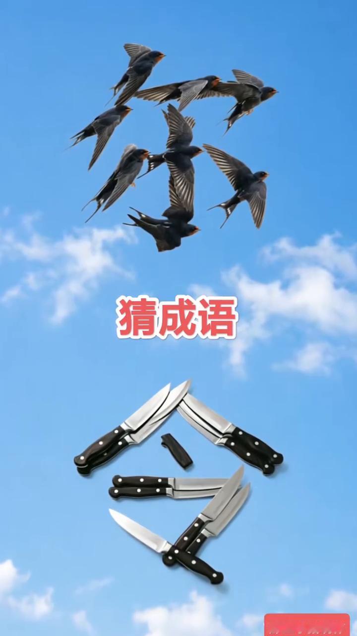 猜成语。
那兰小猪制作。