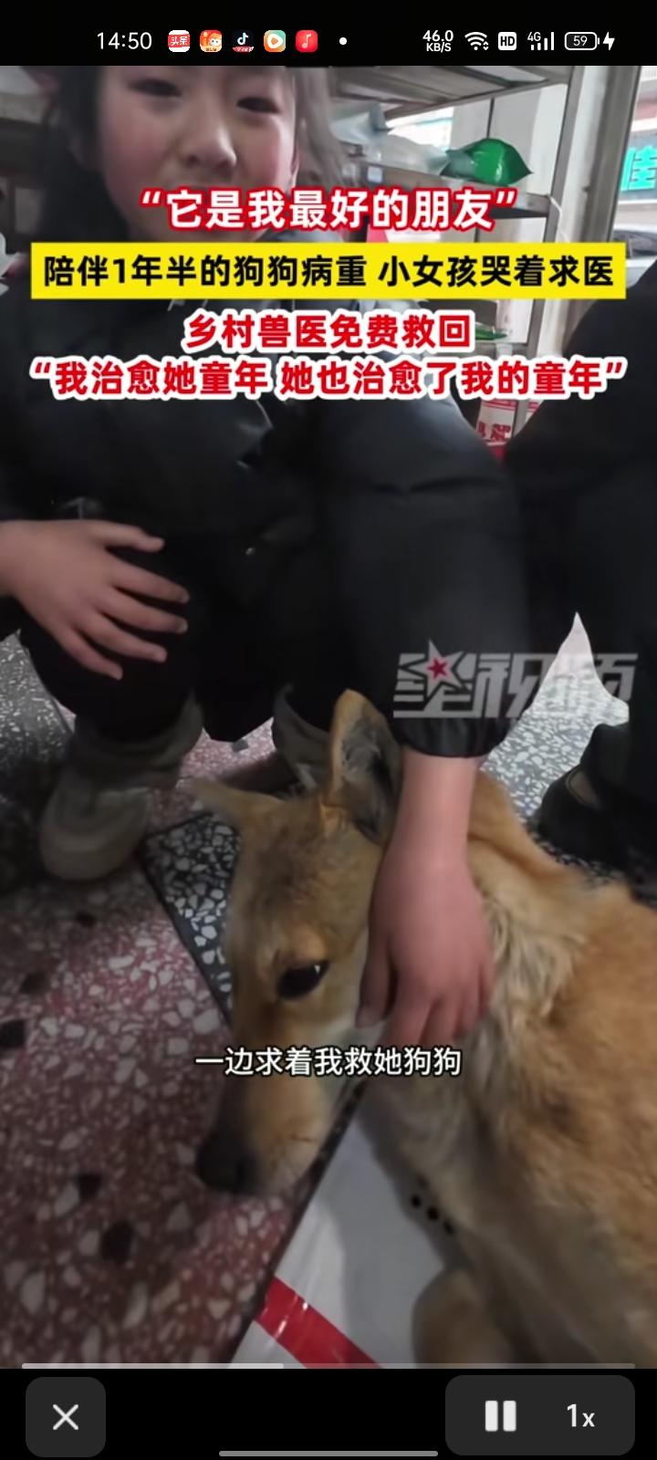3月4日，益阳市桃江县。陪伴一年多的狗狗病情加重，小女孩带着狗狗送去医院，一边哭