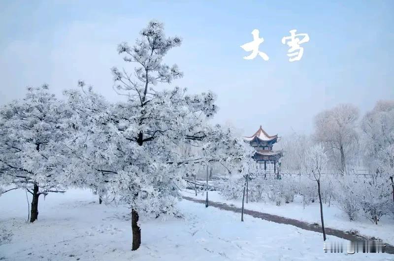 今日大雪 今日大雪
今日5时04分
大雪节气已至
仲冬时节开启
老话说
“冬天雪