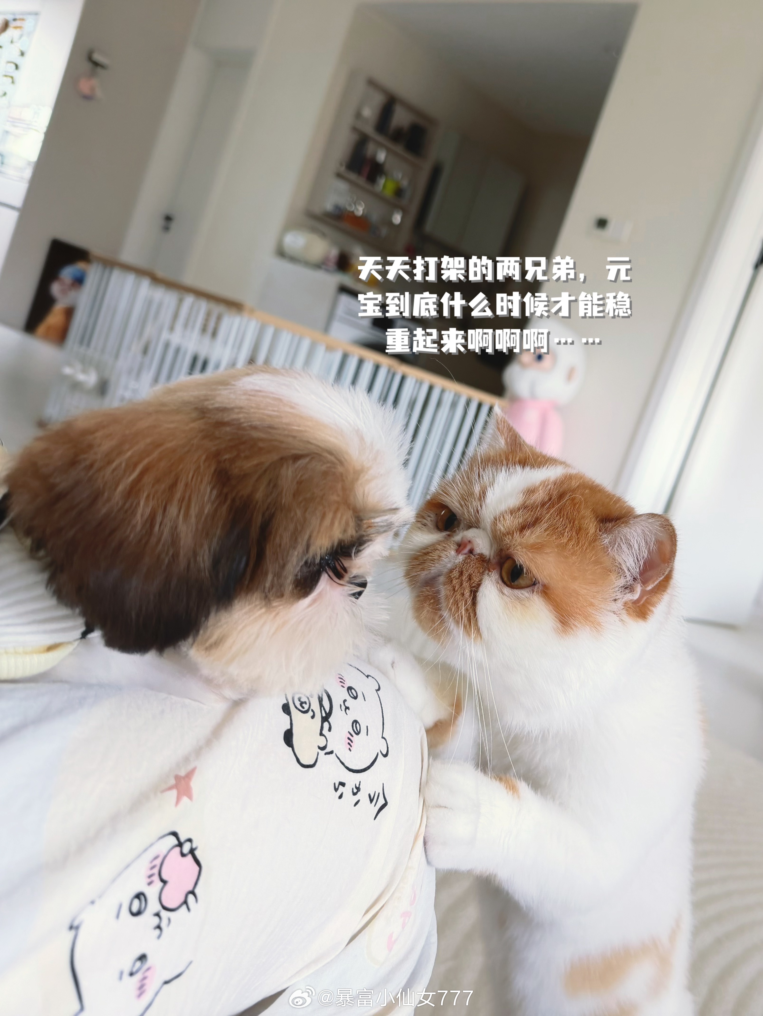 人如果被好好爱着，就不会皱巴巴。 