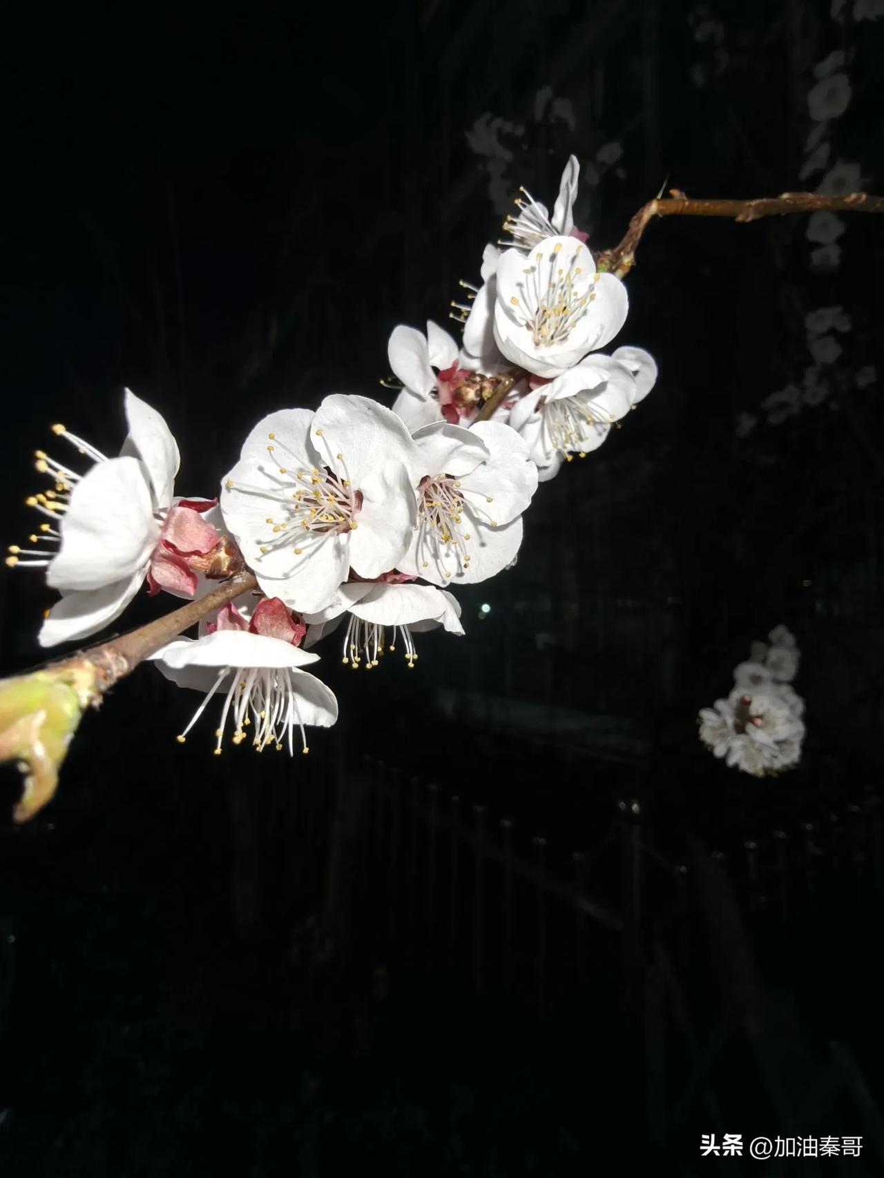 什么是艺术

小的做成了超大的，
大的做成了极小的，
虚幻的做成了真实的，
把真