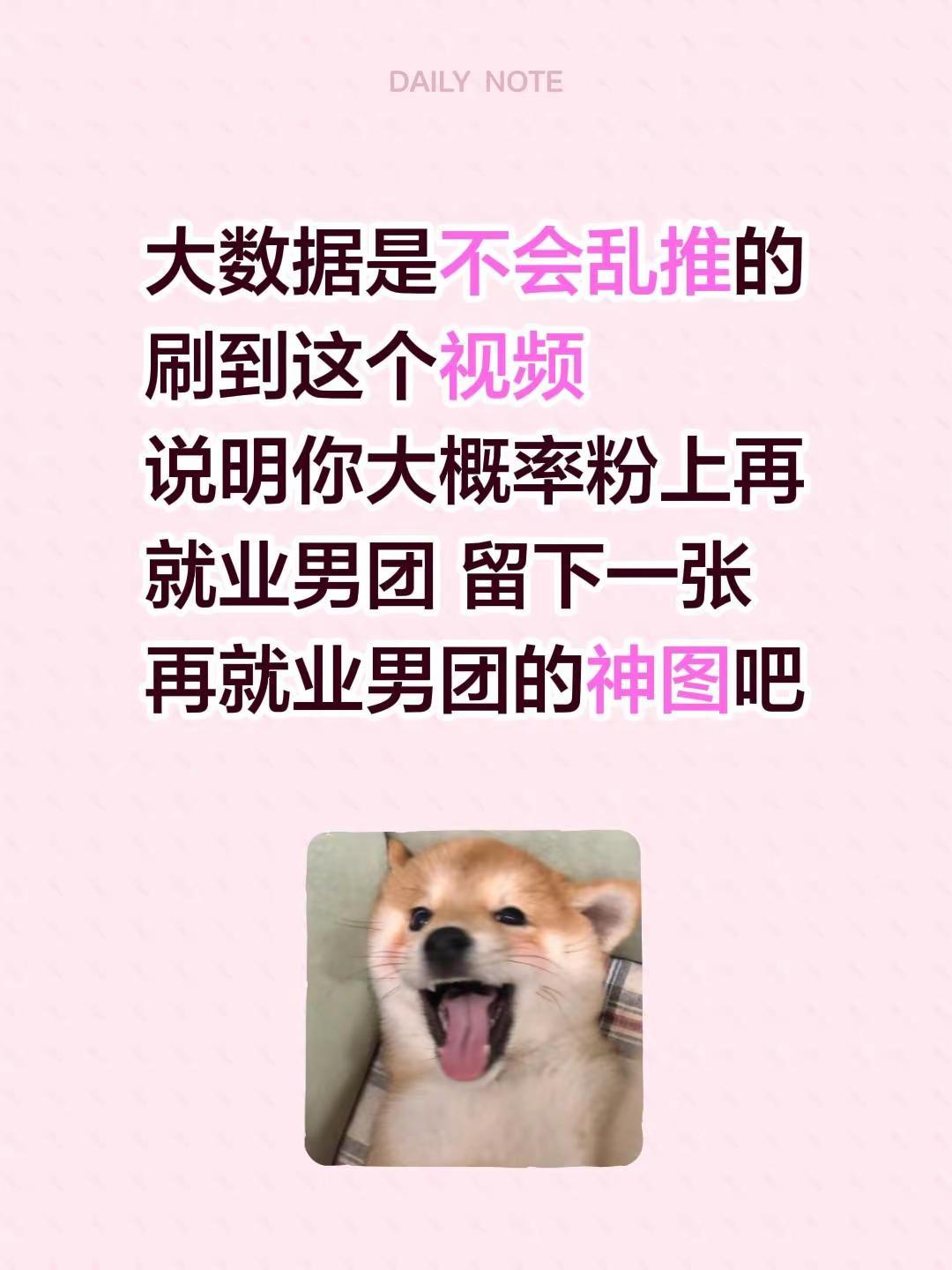 大数据是不会乱推的刷到这个视频说明你大概率粉上再就业男团 留下一张再就业男团的神