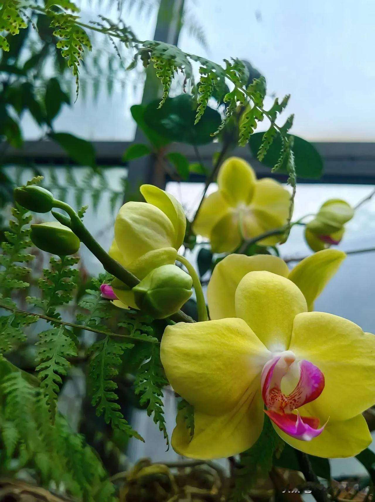 东莞植物园随手拍赏花植物园 
你觉得下面9张照片中,哪张拍的最好[微风]
植物园