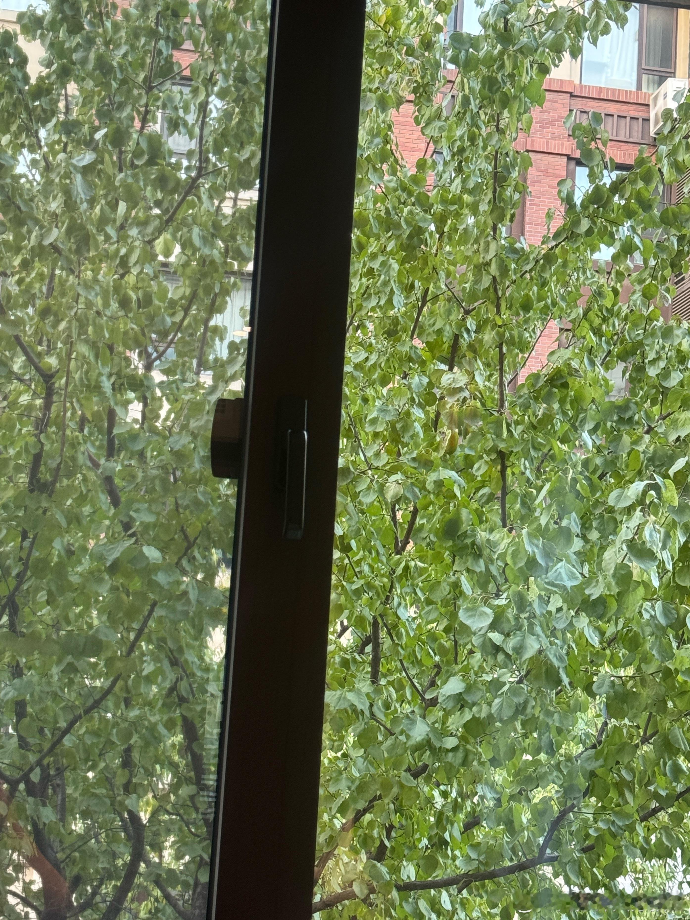 沈阳的雪遥遥无期，我家窗外的树甚至还是绿色的，但已经有厂家要做冬季选题了，只能去