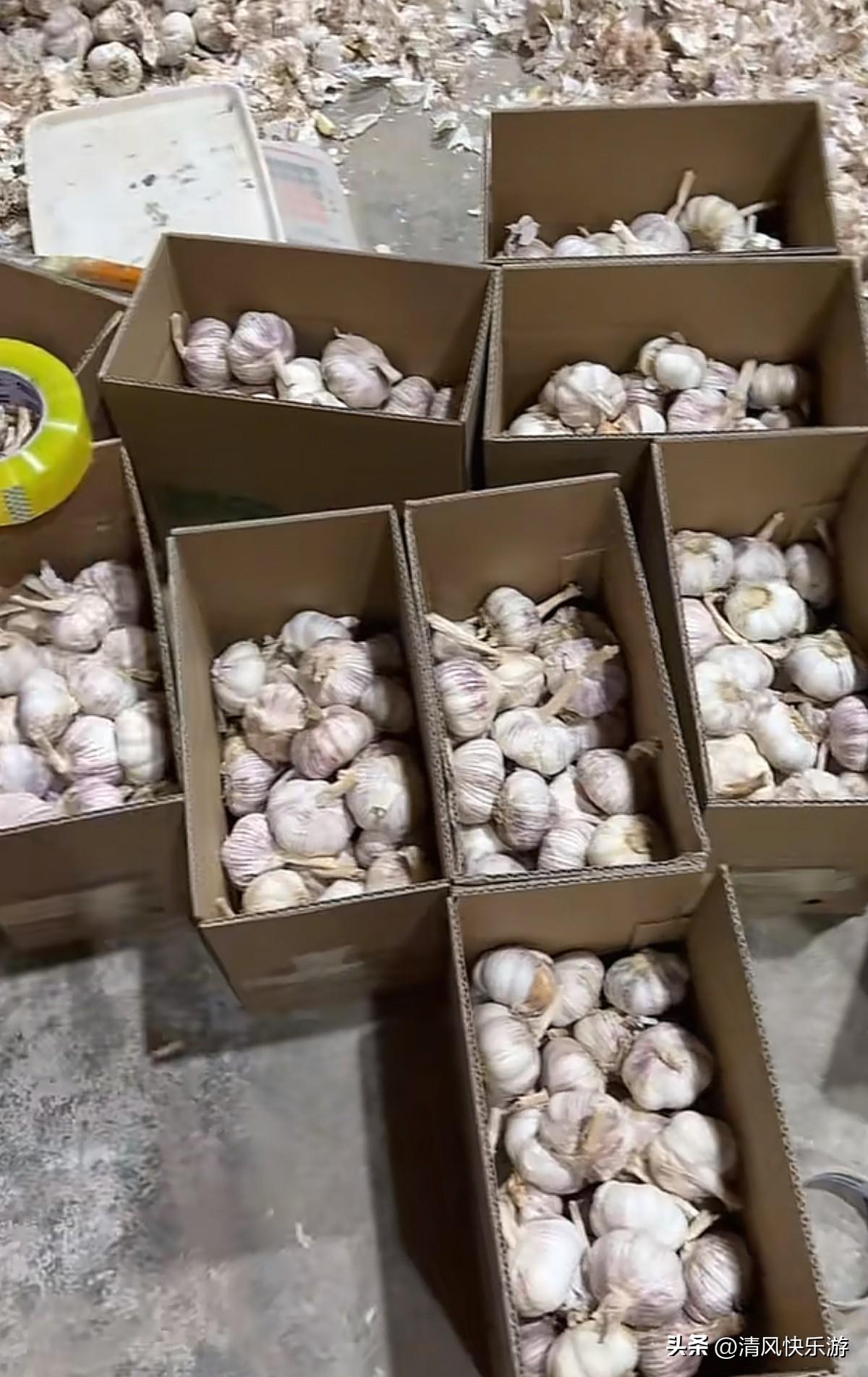 真是没想到，我一个人在家做电商，每天会把自己的真实工作拍下来发个头条。没想到这么