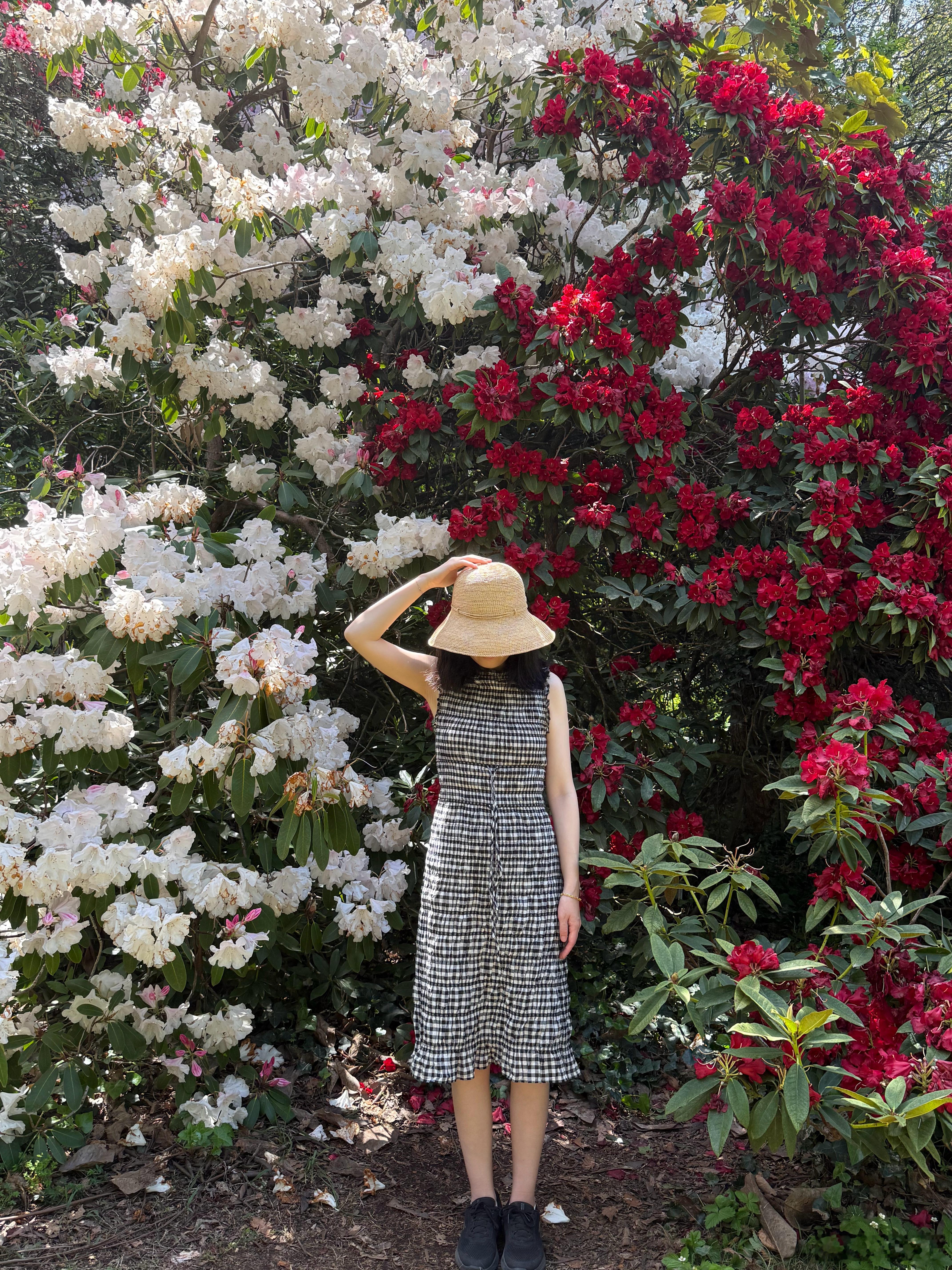 被花海治愈的瞬间🌺 