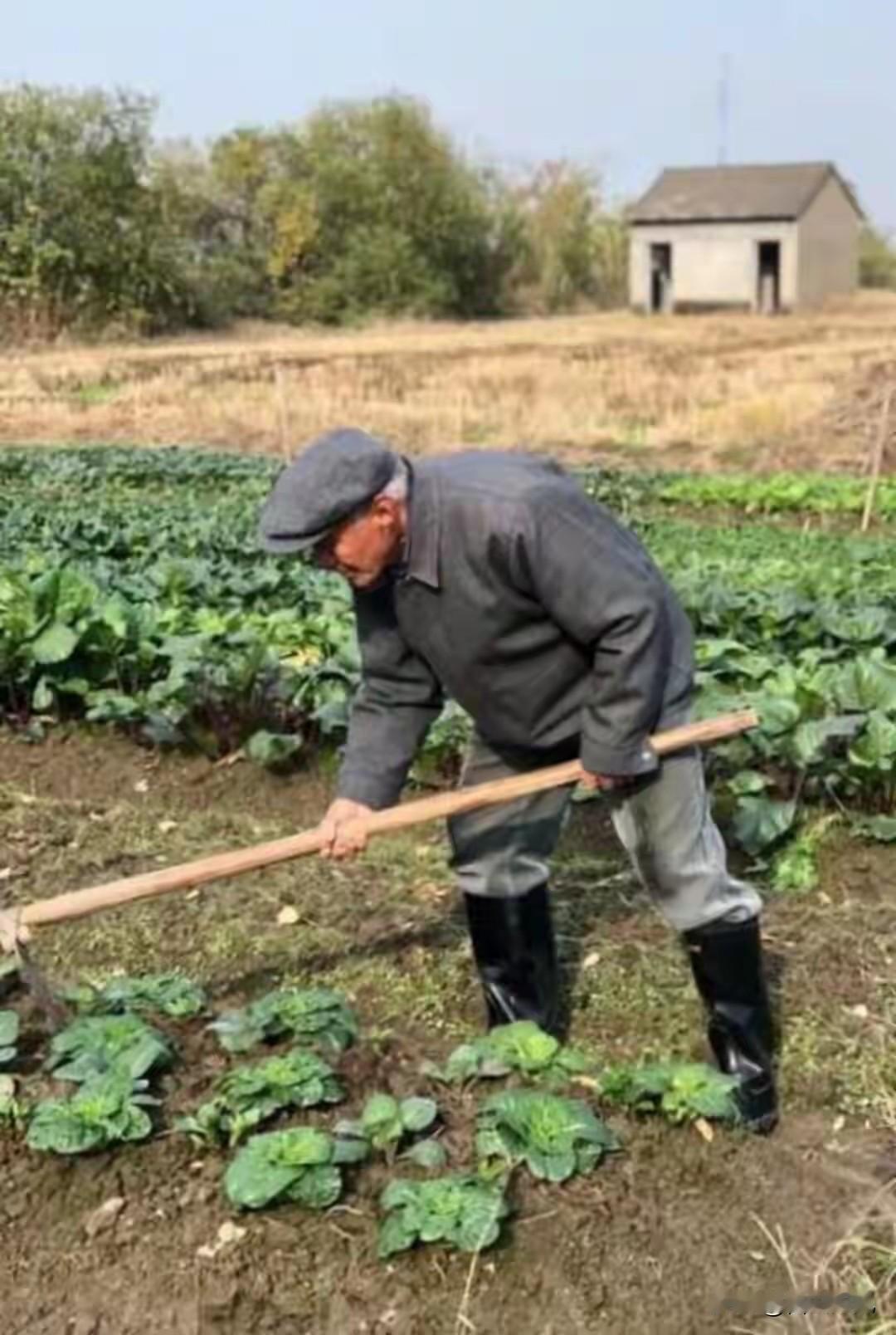 60岁以后，还想多活30年，就死死记住这10句话  
第一:  这世上啥都是虚的