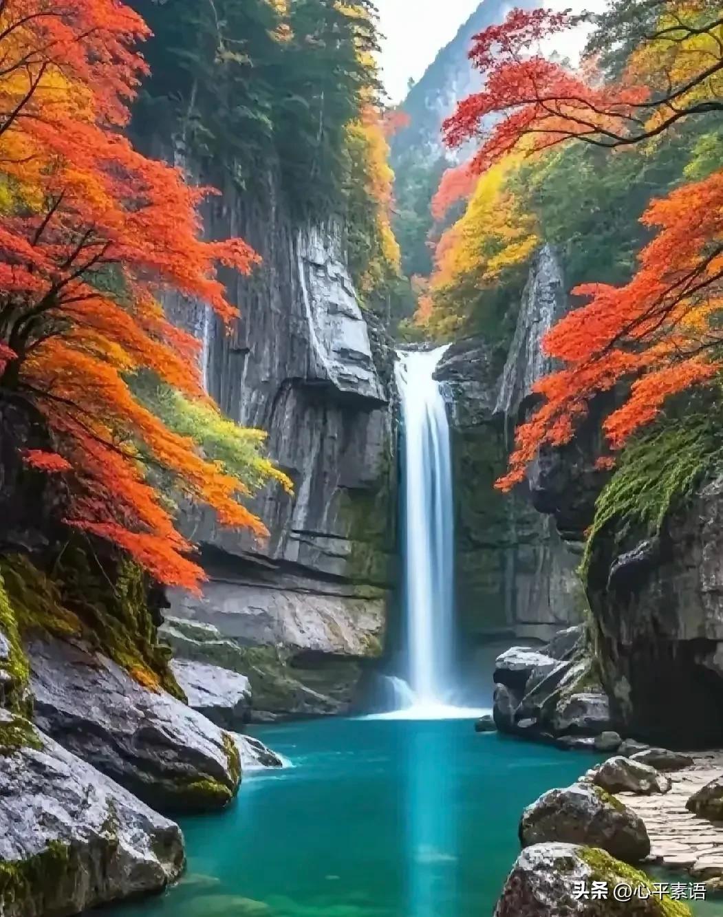 协和张海敏博士直言：
10句养生箴言，读懂少生病

1. 多数慢性病，
皆是长期