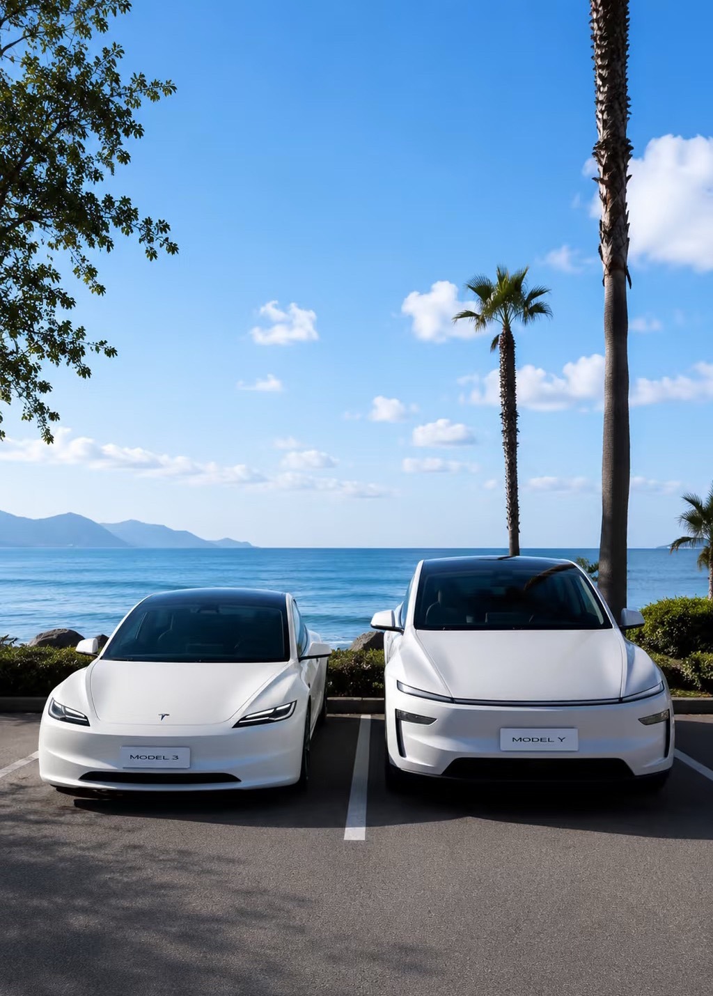 很多人有一个问题，选model 3还是选model y，有个高赞回复：只要有一丝
