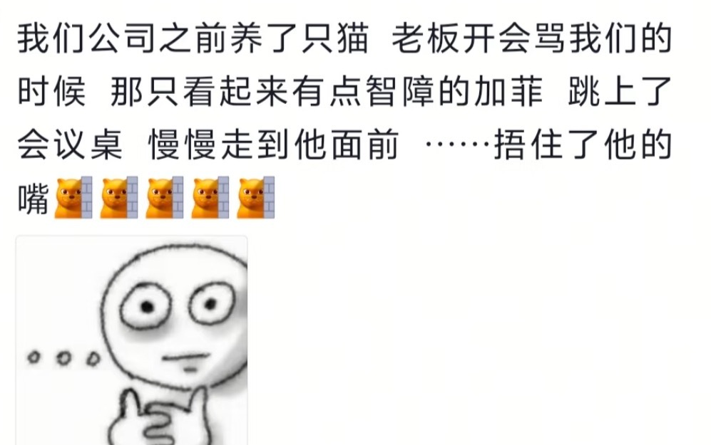 喵喵队上分 