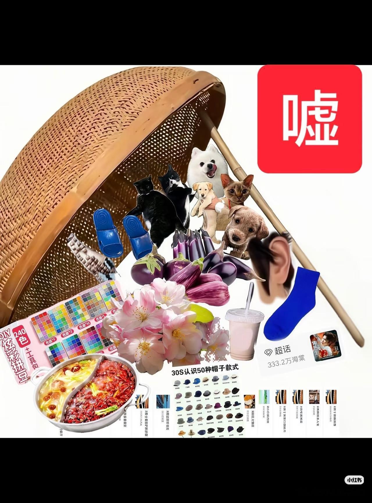 笑晕了……丁禹兮诱捕器 