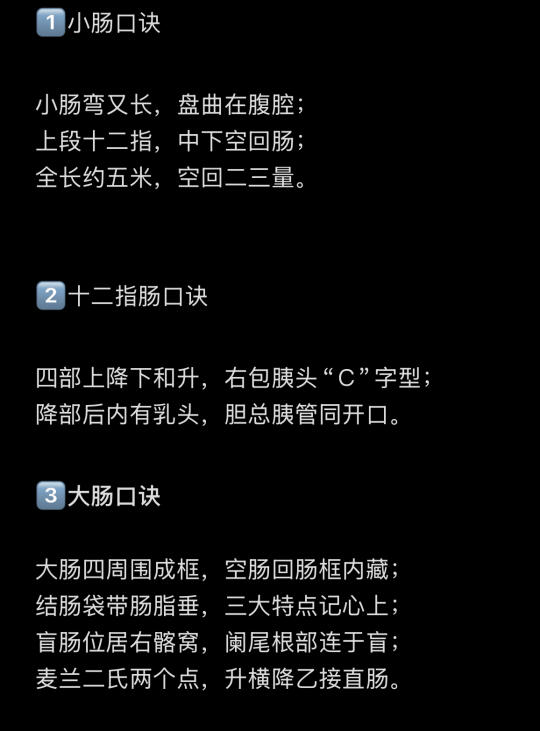 解剖速记